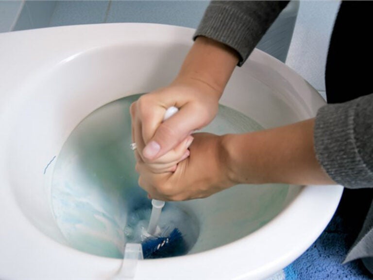 Black Rings Inside a Toilet Bowl Four Seasons Plumbing and Sewer Blog