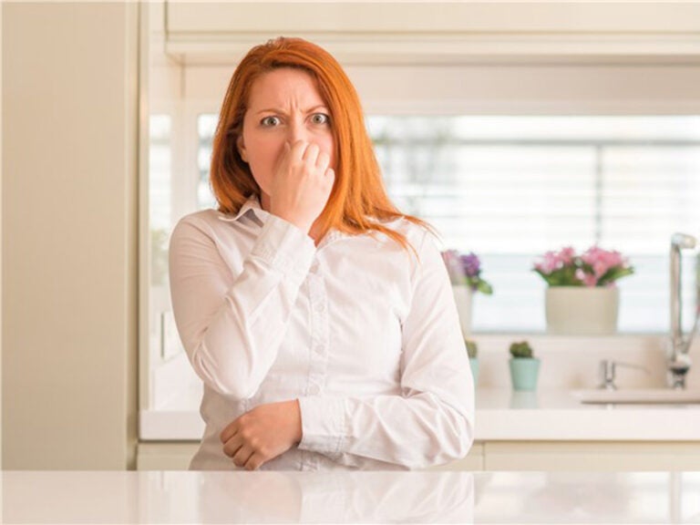 Understanding The Bad Smell Coming from Your A/C Four Seasons Heating