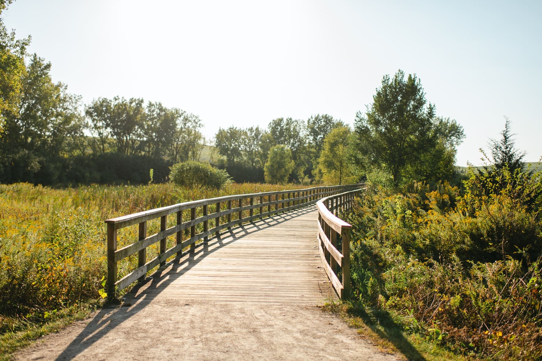 Wooden walkway in Mallard Lake Forest Preserve in Hanover Park, IL