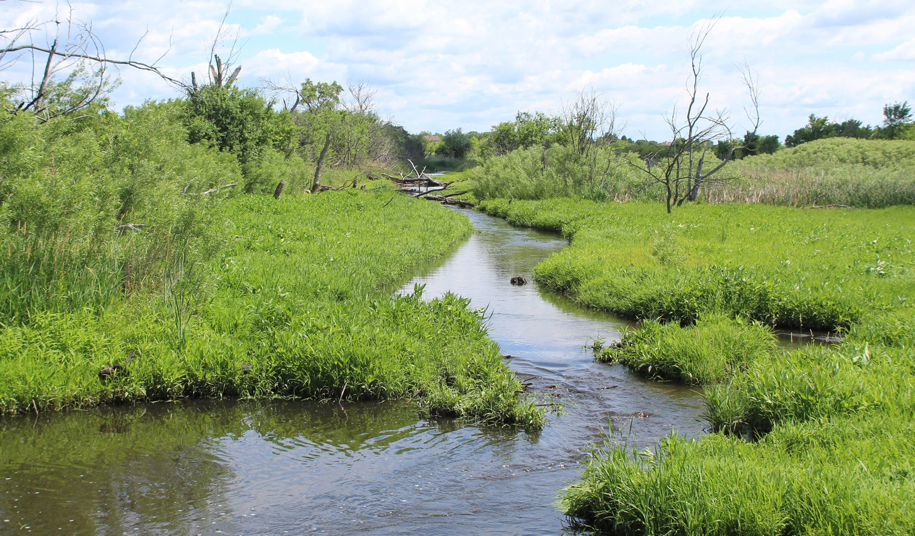 Brewster Creek in Bartlett, Illinois