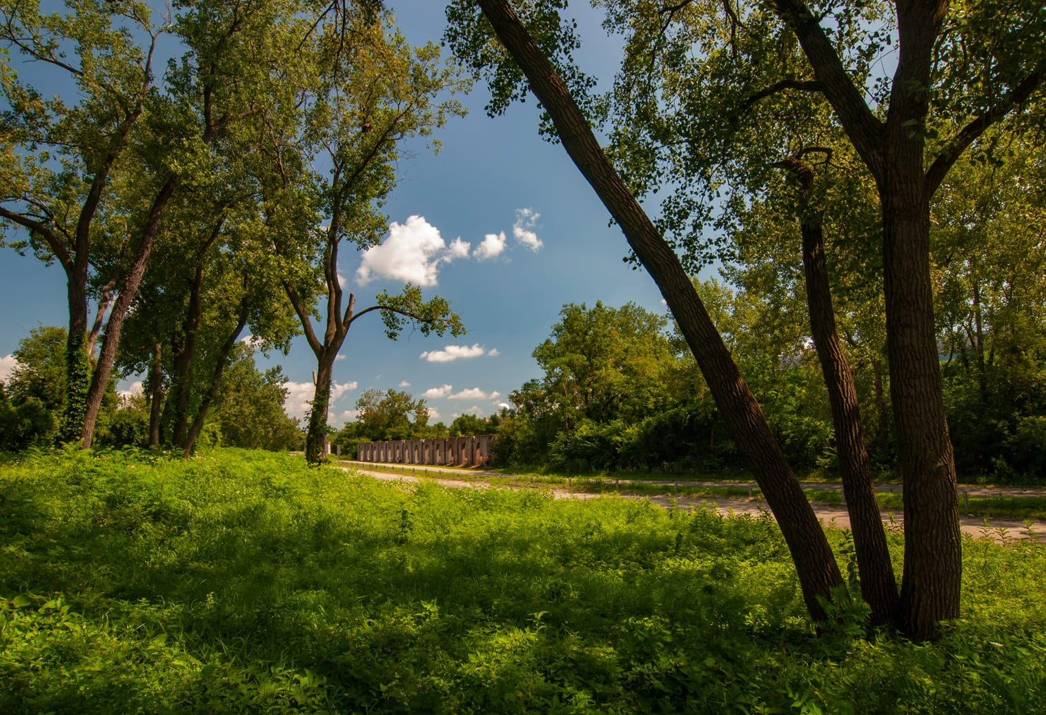 Joliet Ironworks Preserve